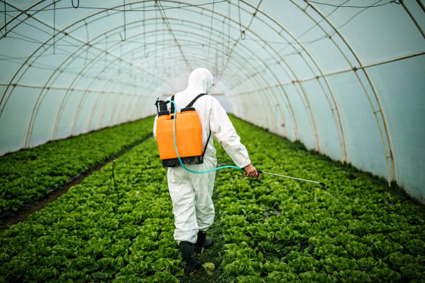 Best Best Pest Control Companies  in Jan Phyl Village, FL