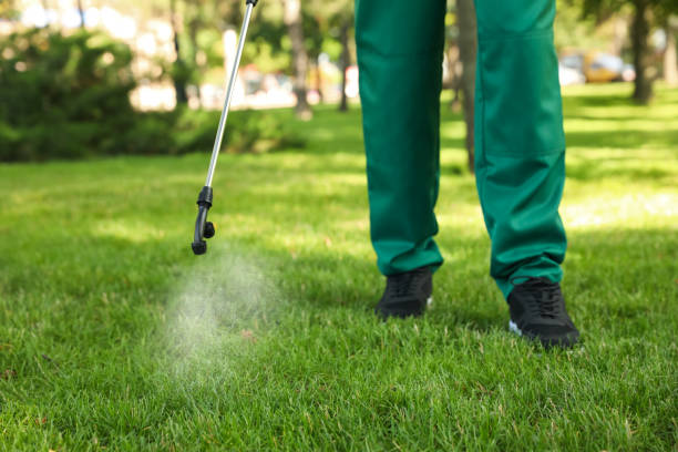 Pest Prevention Services in Jan Phyl Village, FL