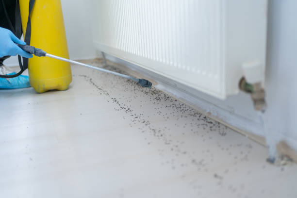 Best Pest Removal Services  in Jan Phyl Village, FL